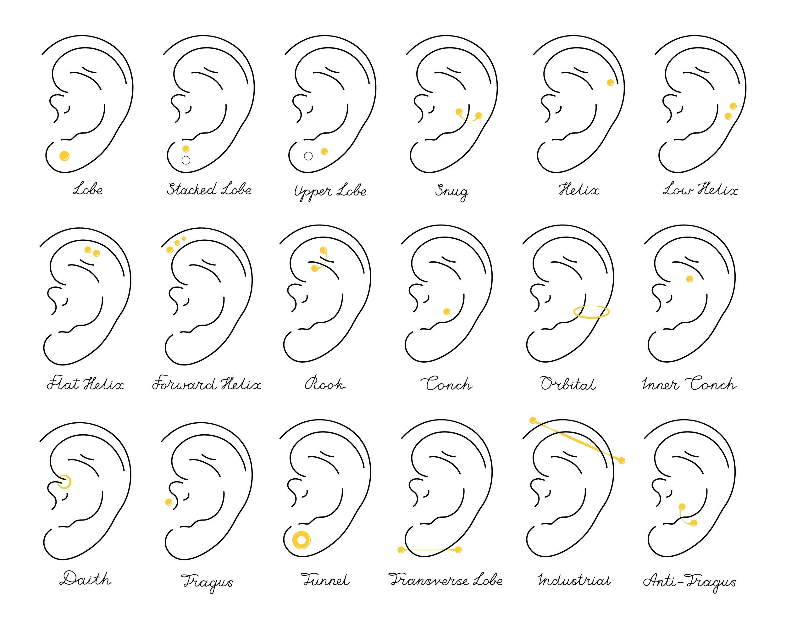 Some of the most popular types of ear piercings and their names - So Scene